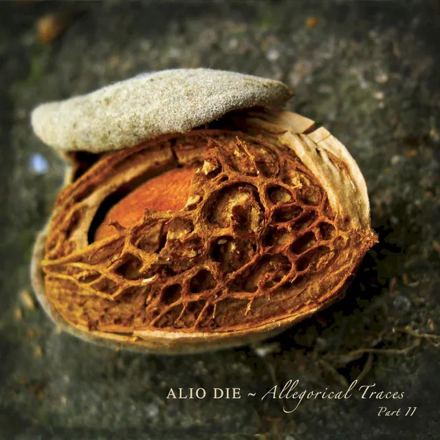 Allegorical Traces, Part II 封面