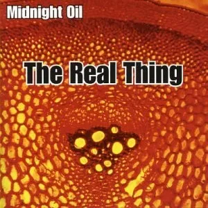 The Real Thing 封面