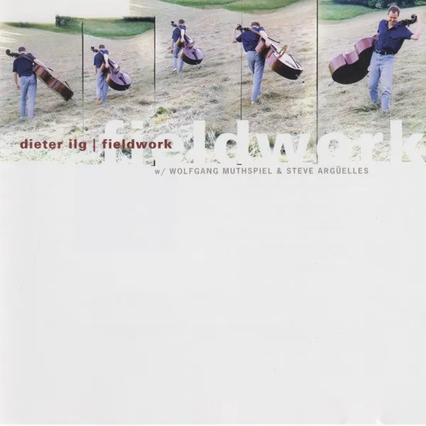 Fieldwork cover