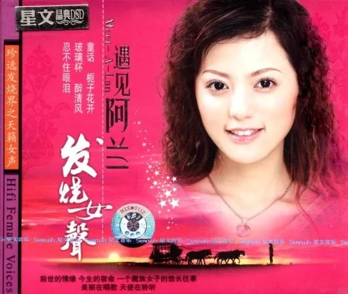 遇见阿兰 封面