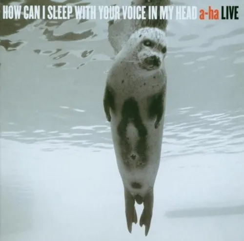 How Can I Sleep With Your Voice in My Head 封面