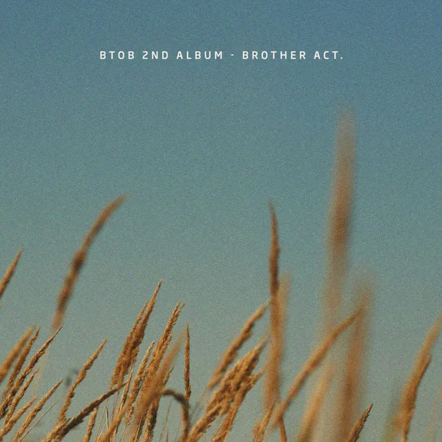 Brother Act. 封面