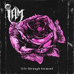 Life Through Torment 封面