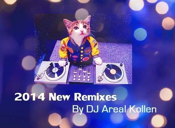 2014 New Remixes 封面