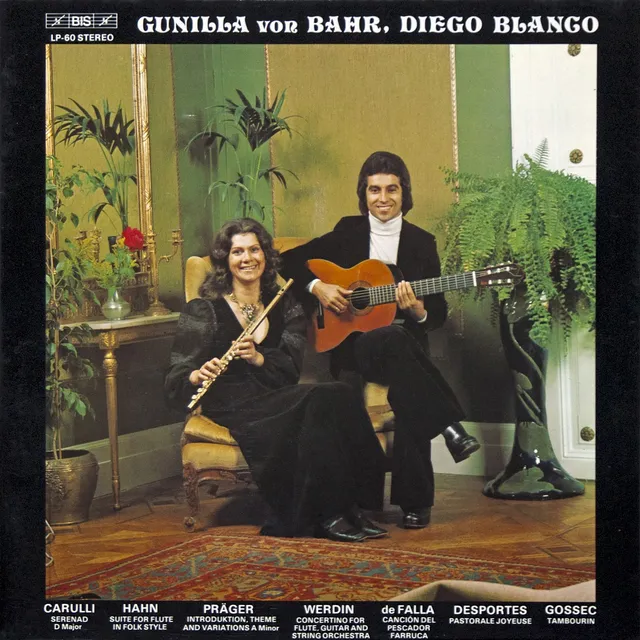Flute, Guitar and Strings cover