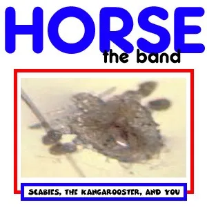 Scabies, the Kangarooster, and You 封面
