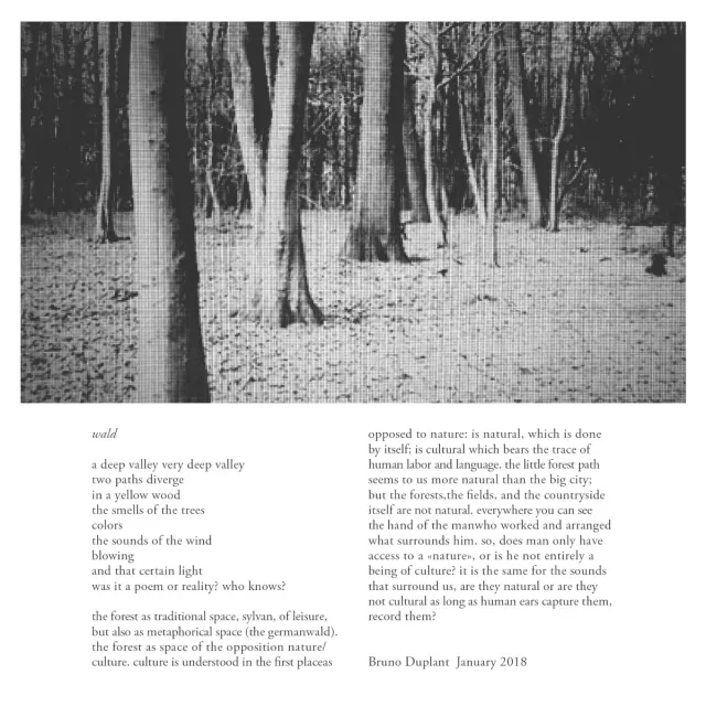 Wald 封面