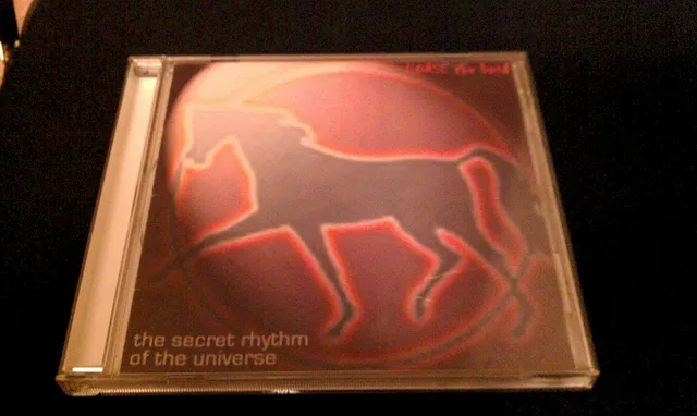 The Secret Rhythm of the Universe 封面