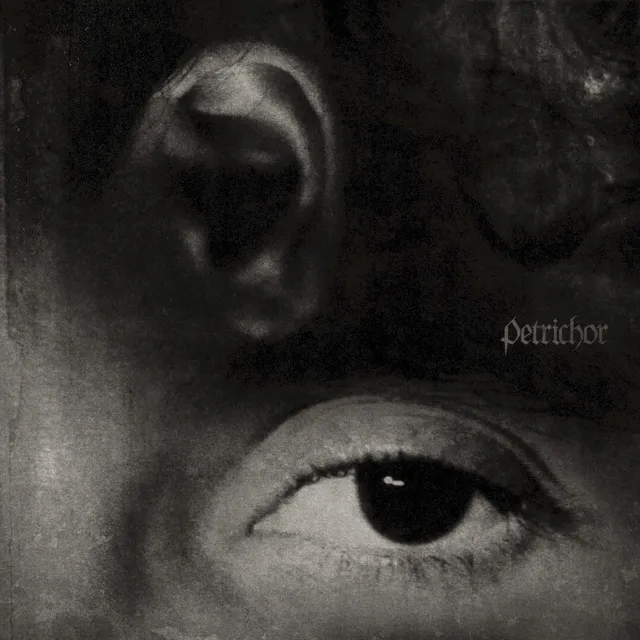 Petrichor cover