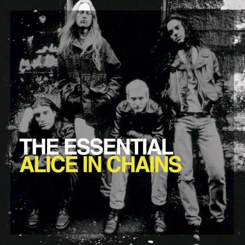 The Essential Alice in Chains 封面