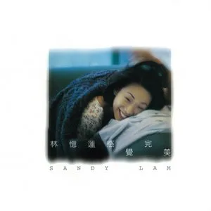 感覺完美 封面