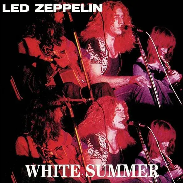 White Summer 封面
