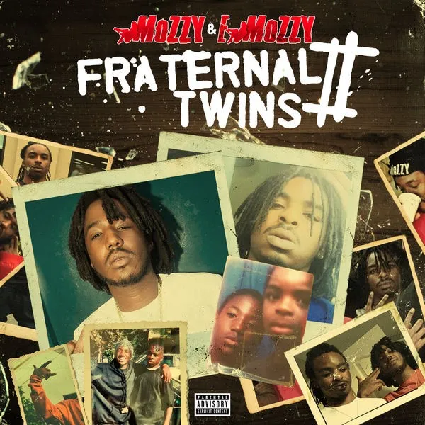 Fraternal Twins 2 封面