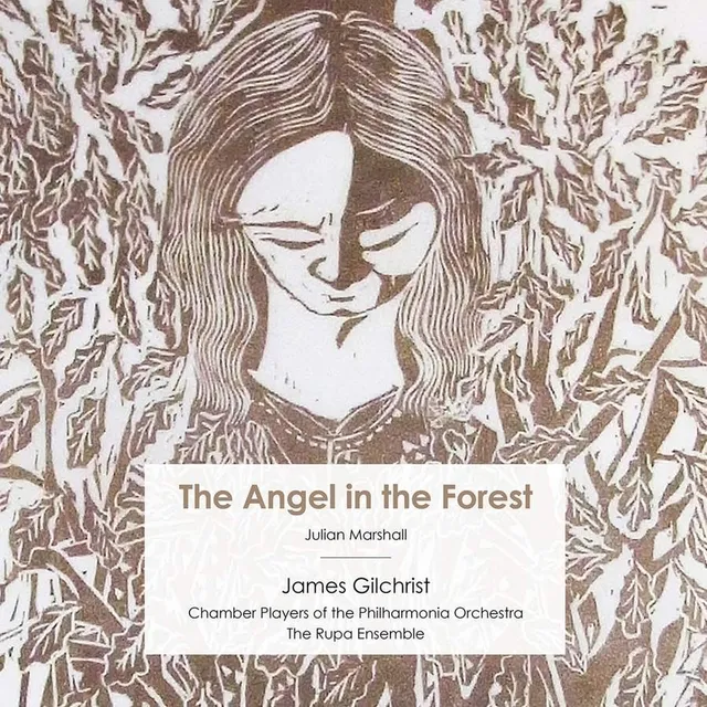 The Angel in the Forest cover