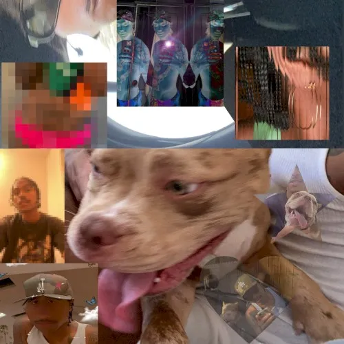 The Lo-Fis cover